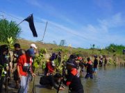 Cegah Abrasi, Sibat PMI Tanam 1.000 Mangrove di Sungai Telomoyo