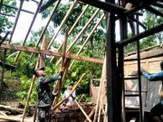 Di Eromoko Wonogiri, Rumah Warga Rusak Tertimpa Pohon Tumbang
