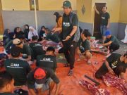 42 Ekor Sapi Donasi HW Group untuk Keberkahan dan Kebahagiaan