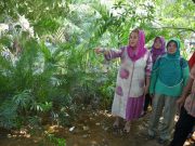 Pemkot Semarang Akan Ubah Taman Tegalsari Jadi Taman Pasif