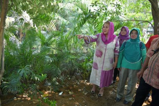Pemkot Semarang Akan Ubah Taman Tegalsari Jadi Taman Pasif
