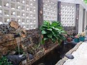 Tips Membuat Kolam Ikan Dalam Rumah