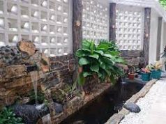 Tips Membuat Kolam Ikan Dalam Rumah