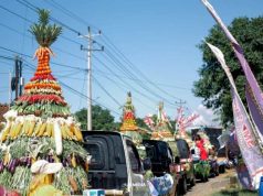60 Gunungan Ramaikan Sedekah Bumi Desa Tubanan