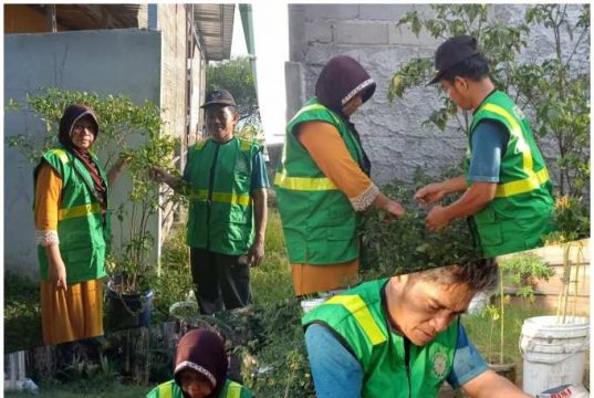 Muhammadiyah dan Aisyiyah Karimunjawa Mulai Gerakan Tanam Pohon Pola Asuh