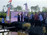Pemkab Jepara Dorong Pembudidaya Ikan Bandeng di Ujungwatu Donorojo