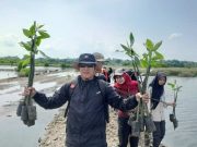 Warga dan Aktivis Lingkungan Hidup Menunggu Penegakan Hukum Tambak Udang Ilegal di Karimunjawa