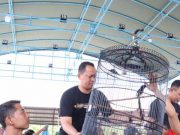 Cooling System di Tengah Tahapan Pemilu, Digelar Lomba Burung Berkicau Kapolres Jepara Cup