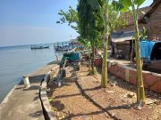 Kawasan Kumuh di Jepara Semakin Berkurang, Tinggal 67,73 Ha