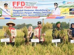 Panen Raya MT 2, Kebumen Diproyeki Kembali Surplus 170.000 Ton