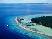 Balai Taman Nasional Karimunjawa Telah Peringatkan Petambak Tak Buang Limbah ke Kawasan TNKJ