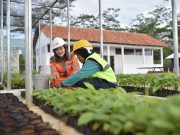 Semen Gresik Berhasil Tekan Emisi Karbon di Wilayah Operasional dengan Terapkan Teknologi Hijau Hingga Maksimalkan Energi Alternatif