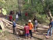 20 Pelaku Diduga Illegal Loging Ditangkap Polisi Sambong Blora