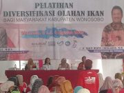 Vita Ervina : Konsumsi Ikan yang Tinggi Bisa Cegah Stunting