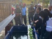 Bantu Cegah Stunting, Mahasiswa KKN Undip Demonstrasikan Akuaponik Skala Rumah Tangga