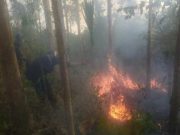 Kemarau Panjang, KPH Mantingan Siaga Kebakaran Hutan dan Lahan