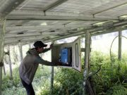 Atasi Kekeringan, Petani Dusun Bangsren Manfaatkan PLTS Untuk Pengairan Lahan Sawah pengairan sawah
