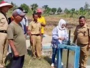 Petani Gembira, 450 Hektar Sawah di Kabupaten Tegal Terselamatkan