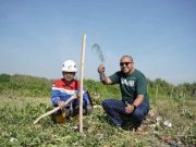 Tekan Emisi Karbon, Pertamina Patra Niaga JBT Lakukan Tanam Mangrove dan Cemara Laut