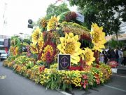 Jalanan Kota Semarang Penuh Taburan Bunga Berjalan, Sukses dengan Merdeka Flower Festival