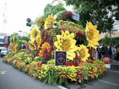 Jalanan Kota Semarang Penuh Taburan Bunga Berjalan, Sukses dengan Merdeka Flower Festival