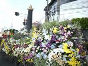 Semarang Merdeka Flowers Festival, Kota Semarang Bakal Banjir Bunga