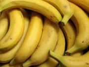 Sakit Perut Setelah Makan Pisang? Yuk Simak Penyebabnya…