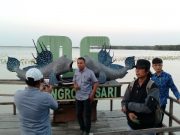 Menikmati Kehijauan Hutan Bakau di Mangrovesari Brebes