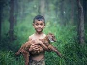 Tips Jitu Menangkap Buruan Dalam Hutan