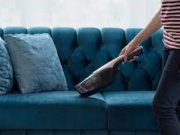 Tips Bersihkan Bulu Hewan Pada Kursi Sofa