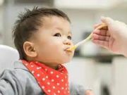 Tips Menyuapi Anak Agar Mau Makan Banyak