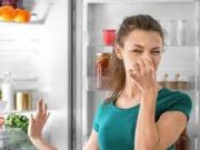 Tips Agar Kulkas Tidak Berbau Tak Sedap