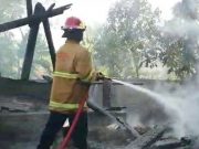 Lagi di Grobogan, Api Bediang Bakar Kandang Seekor Sapi Mati Terpanggang