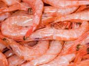 Dapat Dijadikan Pestisida Alami, Ini 3 Manfaat Limbah Kulit Udang