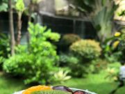 Segarnya Aneka Kuliner Buah dan Sayuran di Kedai ‘Salad Bunda’