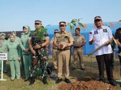Kodam IV / Diponegoro Serantak Tanam Pohon, Forkopimda Jepara Tanam 500 Pohon