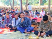 ‘Balik Modal Saja Susah’, Petani di Kudus Sambat Harga Jual Kencur Anjlok