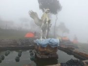 Dunia Ini Bukan Rumah