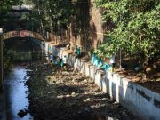 DPUPR dan Relawan Tuangkan 130 Liter Eco Enzyme di Sungai Grojogan untuk Penjernih Air