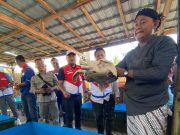 Peduli Keseimbangan Ekosistem Laut, Pertamina JBT Lepasliarkan Ratusan Penyu Lekang