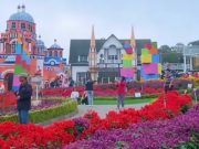 Menikmati Keindahan Bunga dan Aneka Wahana di Taman Celosia