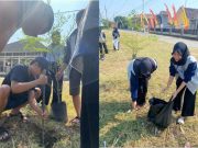KKN UMK Lakukan Kegiatan Penanaman Pohon dan Bersih-Bersih Lapangan Desa Sidomulyo