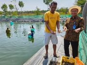 Petambak Udang Vannamei Pemalang Dilengkapi Sensor Digital