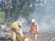 Antisipasi Kebakaran, Pemkot Semarang Ajak Masyarakat Tidak Bakar Sampah dan Ilalang