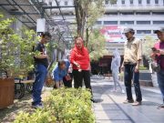 Sidak Taman dan Lingkungan, Mbak Ita Ingin Balaikota Jadi Kantor Green Building