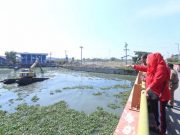 Mendadak Sidak Kali Banger, Wali Kota Fokuskan Pengerukan Sedimentasi Cegah Banjir di Semarang