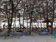 Pantai Karang Jahe Rembang, Keindahan Pasir dan Pohon-Pohon Cemara