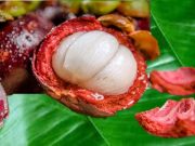 Kulit Buah Manggis dengan Aneka Manfaatnya