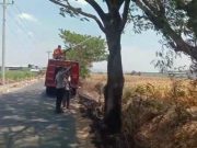 Ladang Jagung di Bulung Cangkring Kudus Terbakar