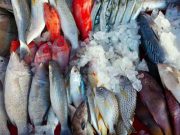 Sering Dianggap Tidak Berguna, Yuk Simak 3 Manfaat Limbah Sisik Ikan